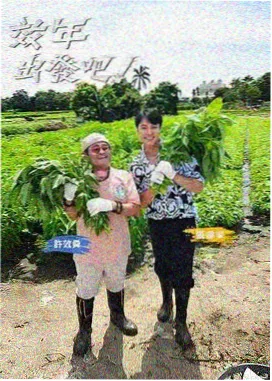 小马宝莉第二季第1集 免费观看